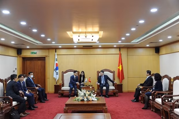 Vietnam y Corea del Sur dirigen industria tributaria hacia desarrollo sostenible ảnh 1