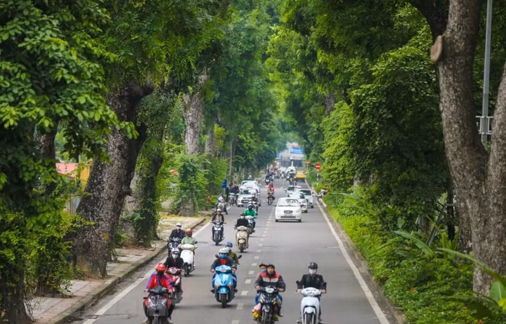 Impulsan en Vietnam campaña de plantación de árboles ảnh 1