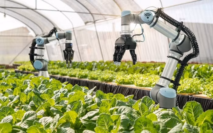 Hanoi aplica tecnologías de la Industria 4.0 en la agricultura ảnh 1 Hanoi aplica tecnologías de la Industria 4.0 en la agricultura ảnh 1