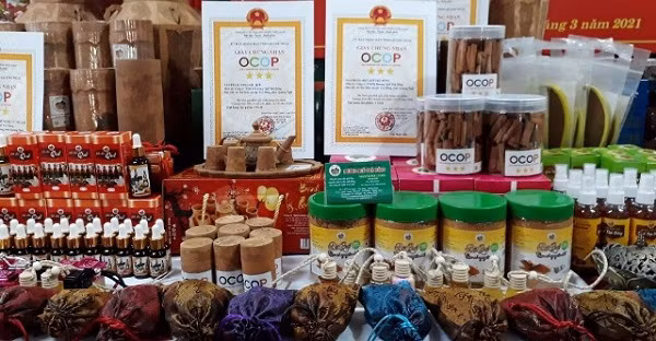 Phu Yen desarrolla productos OCOP asociados con pueblos artesanales ảnh 2