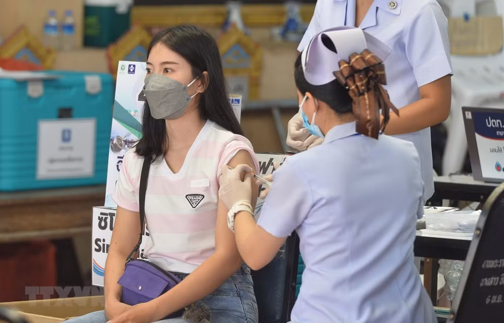 Alumnos en Bangkok reciben vacunación para regresar a la escuela ảnh 1