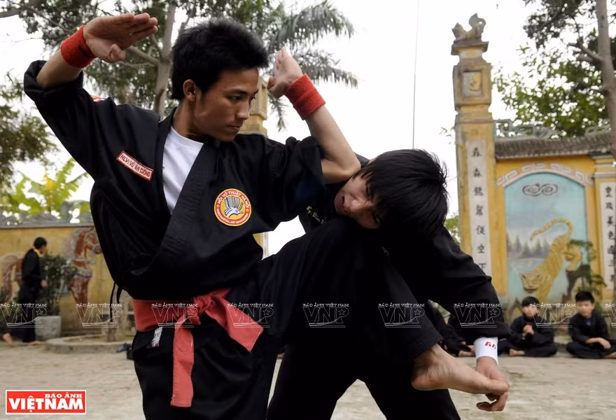 La quintaesencia de las artes marciales tradicionales de Vietnam ảnh 2
