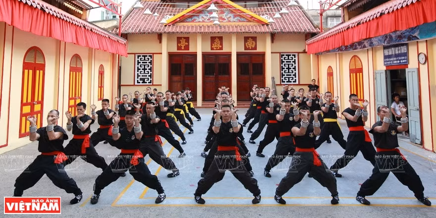 La quintaesencia de las artes marciales tradicionales de Vietnam ảnh 7