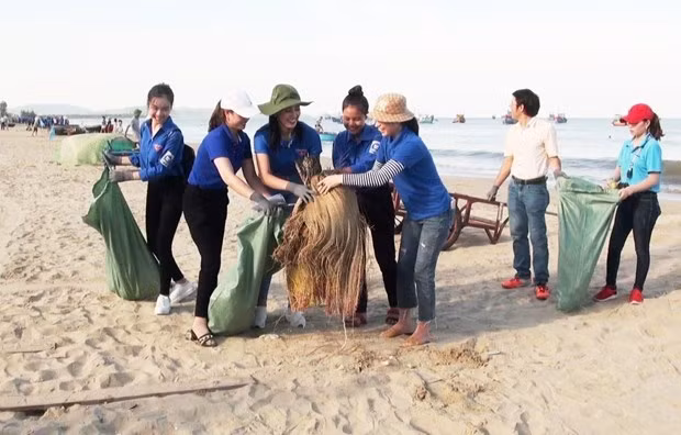 Jóvenes vietnamitas residentes en Ultramar se unen a campaña de limpieza de entorno ảnh 1