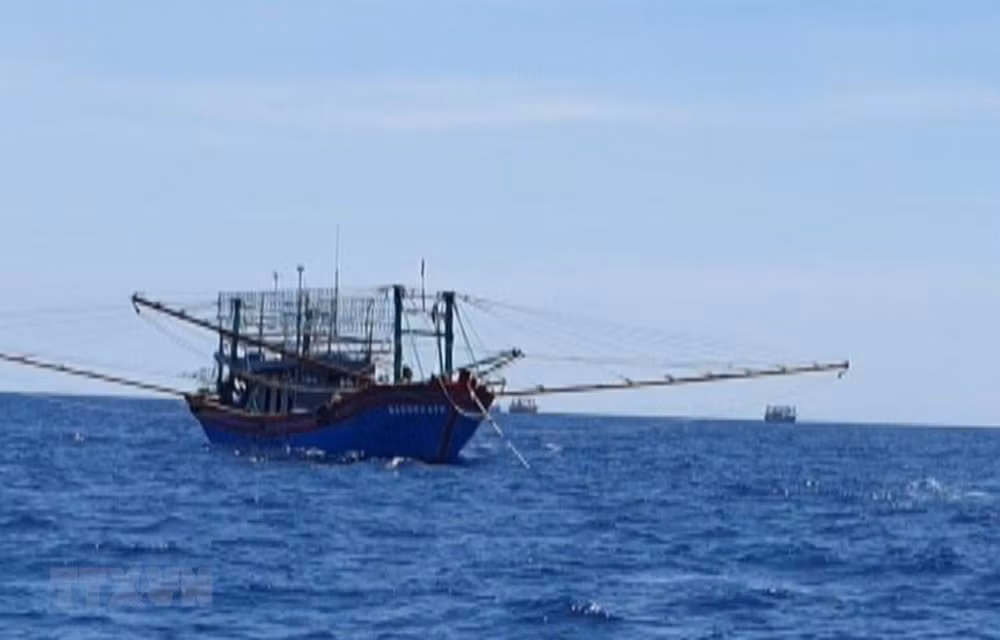 Vietnam aplica medidas de protección ciudadana a pescadores detenidos en Malasia ảnh 1 Vietnam aplica medidas de protección ciudadana a pescadores detenidos en Malasia ảnh 1