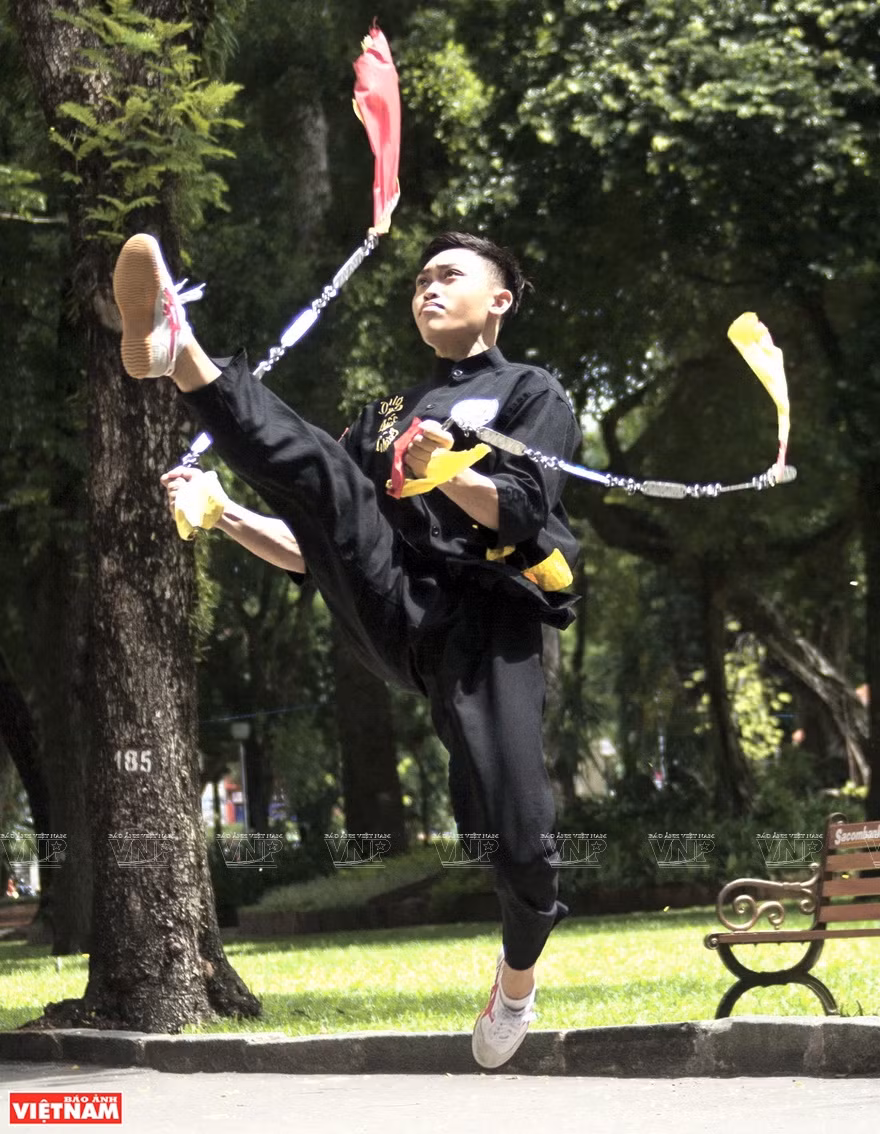 La quintaesencia de las artes marciales tradicionales de Vietnam ảnh 5