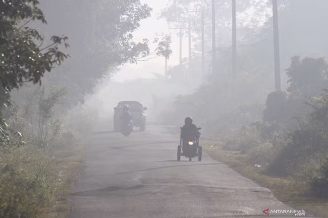 Destruyen incendios forestales en Indonesia más de 30 mil hectáreas de bosque ảnh 1