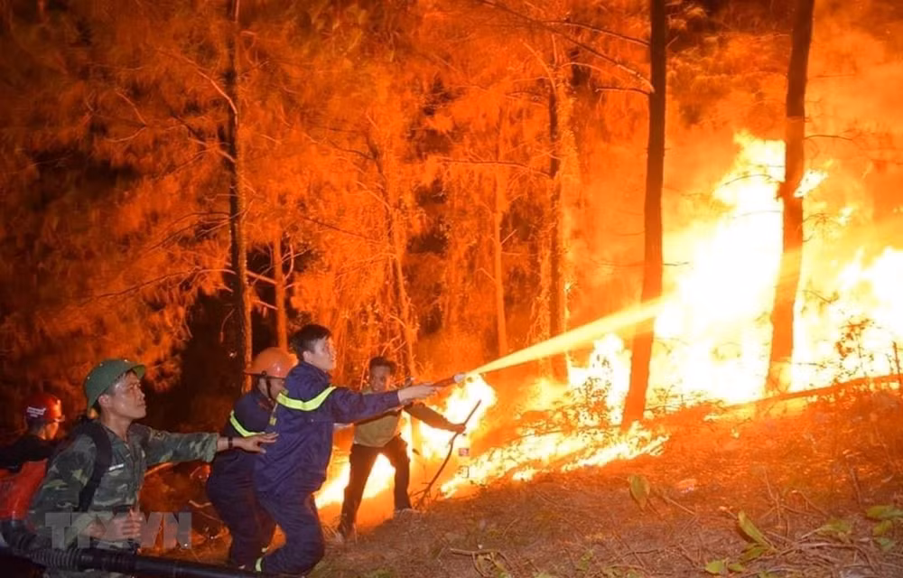 Se enfrasca Vietnam en controlar grave incendio forestal en provincia central ảnh 1