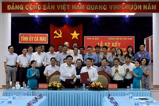 VNA promueve cooperación de información con provincia de Ca Mau ảnh 1