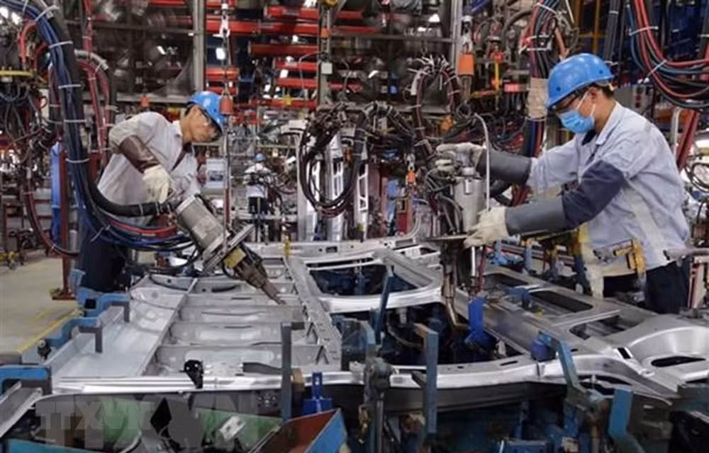 Crean en Vietnam 79 mil empresas nuevas en los primeros siete meses de 2019 ảnh 1