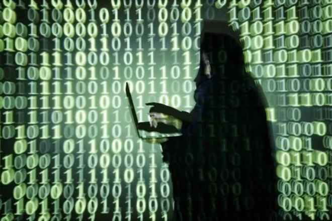 Aplica Singapur medidas drásticas para proteger los datos personales ảnh 1