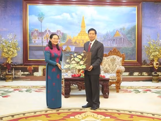 Realiza visita a Laos una delegación de Ciudad Ho Chi Minh ảnh 1
