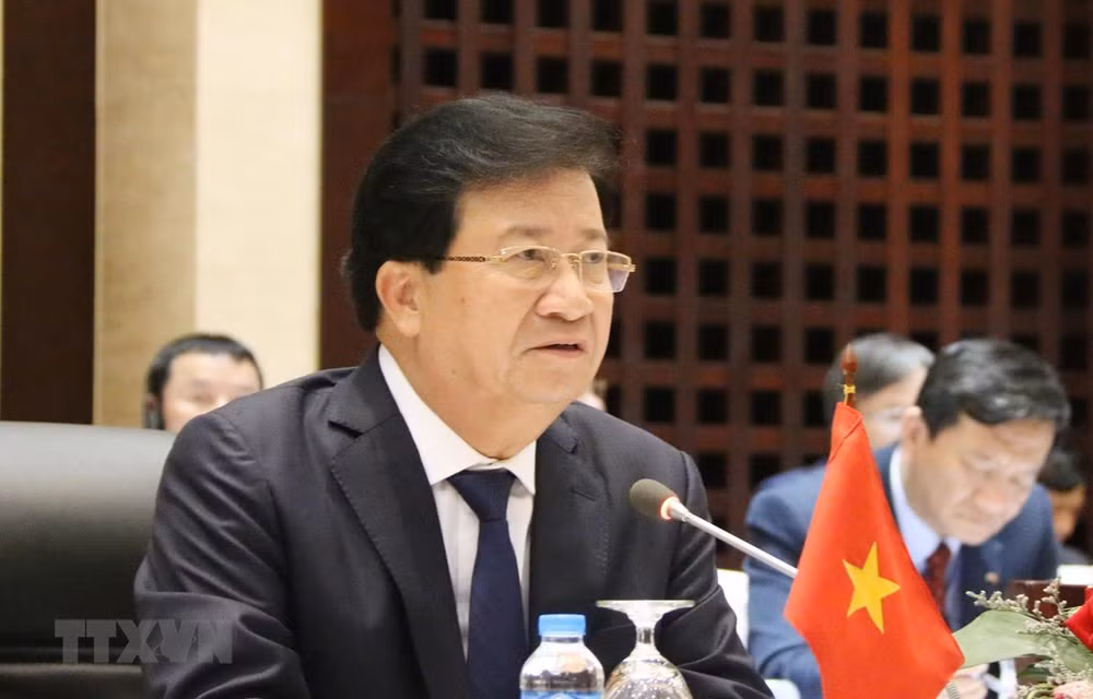 Realiza vicepremier de Vietnam visita a Tanzania ảnh 1