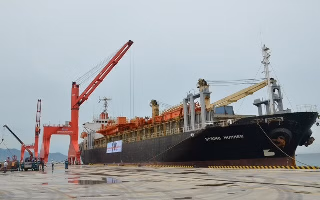 Recibe puerto en provincia vietnamita de Binh Thuan primer barco extranjero ảnh 1