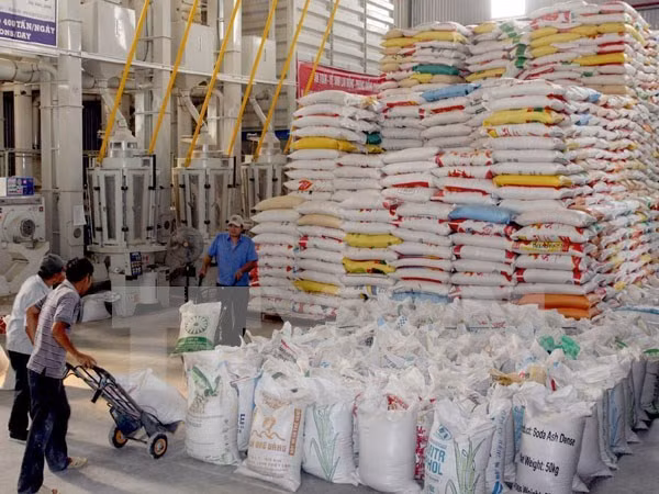 Sector industrial vietnamita se esfuerza para superar dificultades ảnh 1