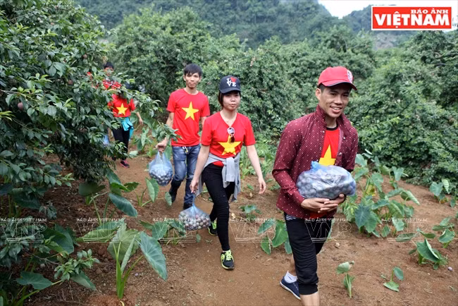 Fiesta de la cosecha de ciruelas en Moc Chau ảnh 1