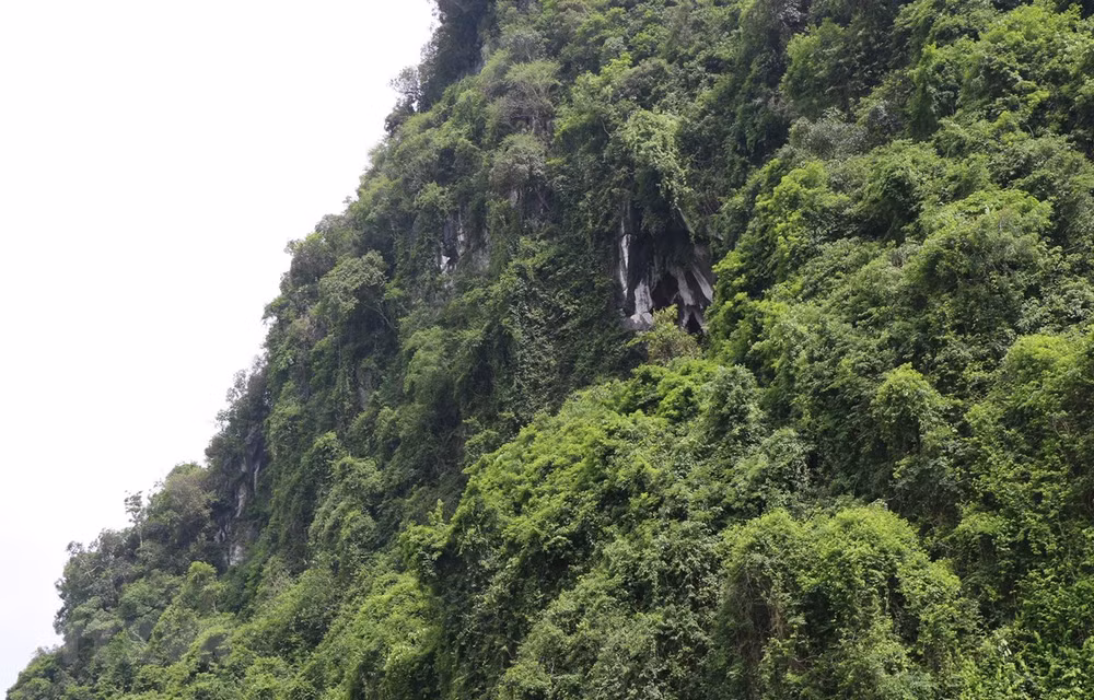 Admiran pagoda antigua de Hang Uc en provincia vietnamita de Yen Bai ảnh 1