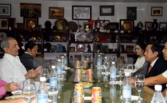 Vietnam y Cuba comparten experiencias de desarrollo de la prensa ảnh 2
