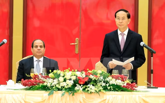 Presidente de Vietnam aprecia relación con Egipto ảnh 1