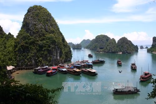 Número de turistas extranjeros a provincia de Quang Ninh crece 20 por ciento ảnh 1 Número de turistas extranjeros a provincia de Quang Ninh crece 20 por ciento ảnh 1