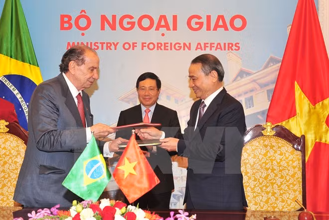 Vietnam desea intensificar lazos integrales con Brasil ảnh 1