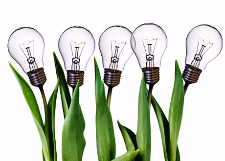 Finlandia ayuda a Vietnam en programa de asociación de innovación ảnh 1