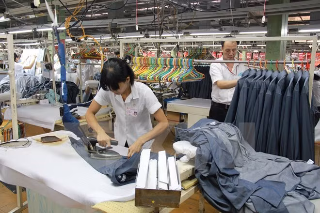 Exportaciones de confecciones textiles de Vietnam alcanzarán 30,5 mil millones de dólares ảnh 1
