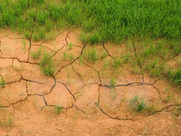 Reitera Vietnam compromiso de reforzar conservación medioambiental ảnh 1