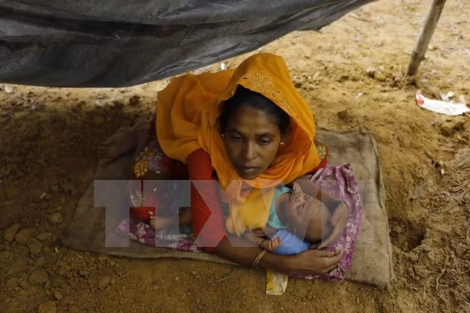 Myanmar solicita asistencia internacional para estabilizar situación en Rakhine ảnh 1 Myanmar solicita asistencia internacional para estabilizar situación en Rakhine ảnh 1