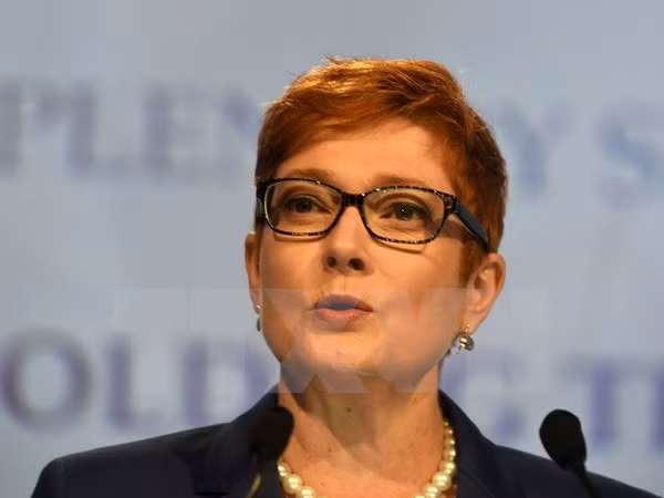 Australia enviará tropas para ayudar a Filipinas a combatir a militantes islámicos ảnh 1
