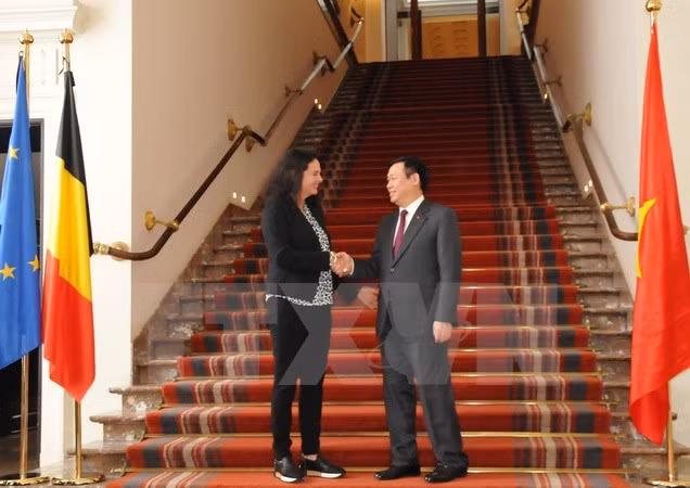 Vicepremier de Vietnam cumple agenda apretada en Bélgica ảnh 2