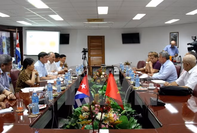 Sindicatos vietnamita y cubano renuevan lazos tradicionales de amistad ảnh 1