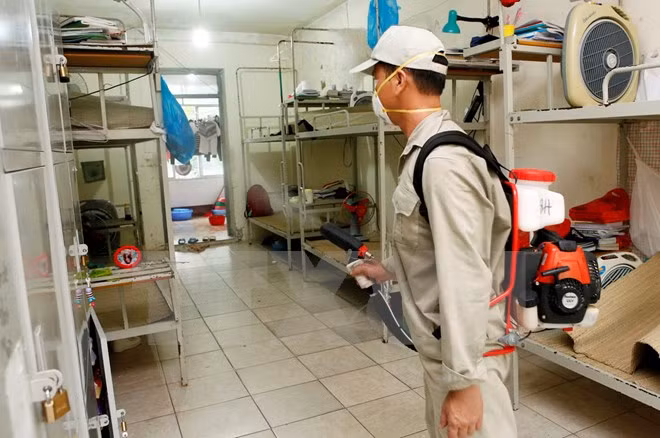 OMS destaca esfuerzos de Vietnam en control del dengue ảnh 1