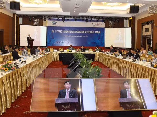 Clausuran reunión de APEC sobre gestión de desastres naturales ảnh 1