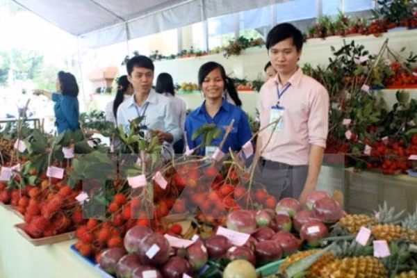 Vietnam aumenta importaciones de frutas y vegetales ảnh 1 Vietnam aumenta importaciones de frutas y vegetales ảnh 1