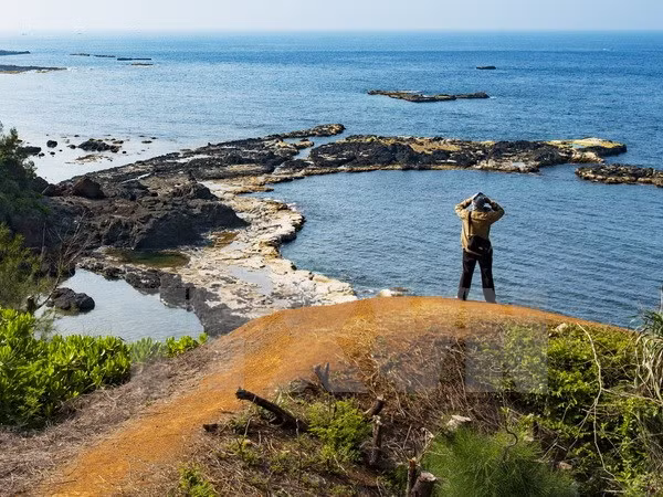 Isla de Ly Son prevé convertirse en un destacado sitio de turismo geomorfológico ảnh 1
