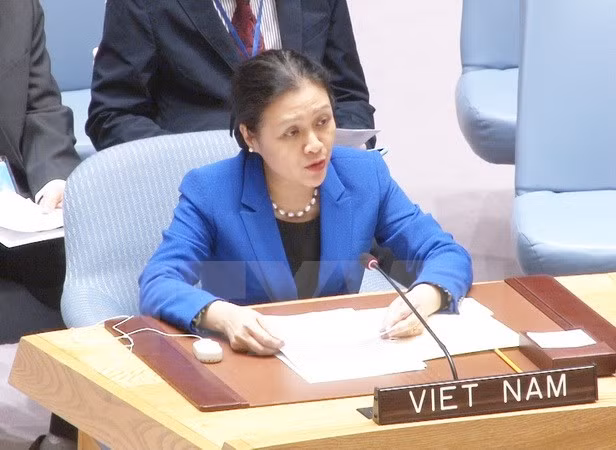 Vietnam coopera con comunidad internacional para erradicar el tráfico humano ảnh 1
