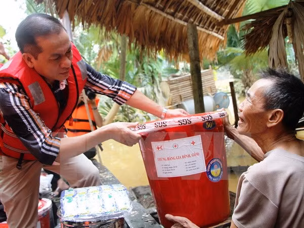 Reconocen ayuda humanitaria de Cruz Roja Noruega a Vietnam ảnh 1