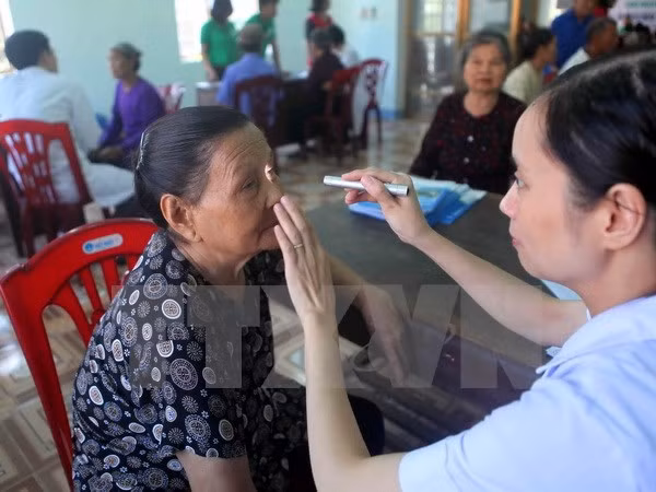 Vietnam acogerá reunión de filiales de Cruz Roja y Medialuna Roja en Sudeste Asiático ảnh 1