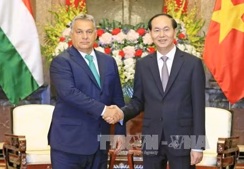 Presidente de Vietnam resalta nexos con Hungría ảnh 1