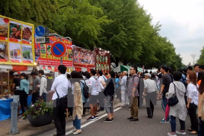 Celebran Festival de Vietnam en Kanagawa ảnh 1