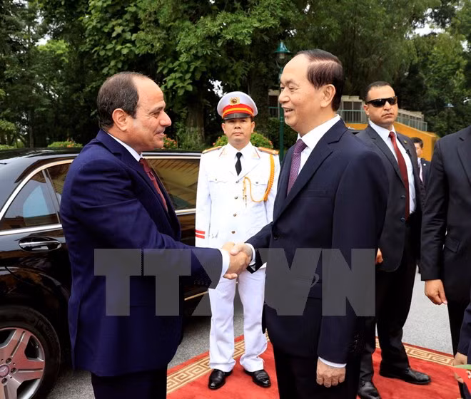 Presidente de Egipto concluye visita a Vietnam ảnh 1