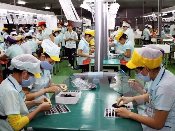 OIT: Asalariados vietnamitas son jóvenes, dinámicos y móviles ảnh 1