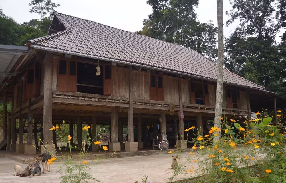 Palafitos únicos de la minoría étnica Muong en provincia vietnamita de Thanh Hoa ảnh 1