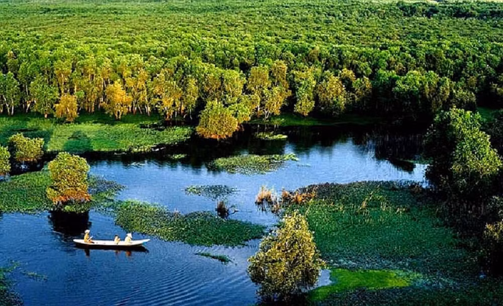 Vietnam por conservar humedales de manera sostenible ảnh 1
