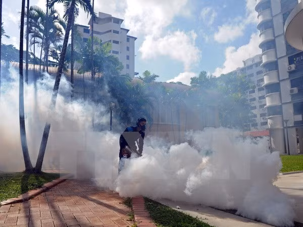 El virus Zika continúa su expansión en Singapur ảnh 1
