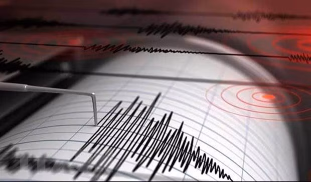 Terremoto de magnitud 6.0 sacude el este de Indonesia ảnh 1