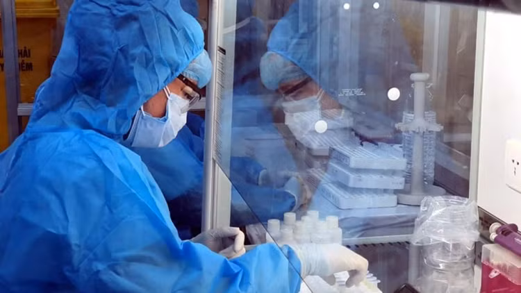 Vietnam desarrolla con éxito medicamento contra el virus SARS-CoV-2 ảnh 1 Vietnam desarrolla con éxito medicamento contra el virus SARS-CoV-2 ảnh 1