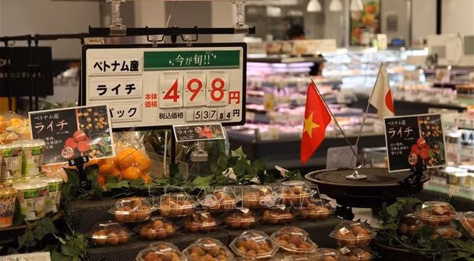 Presentan a Japón productos agrícolas destacados de Vietnam ảnh 1