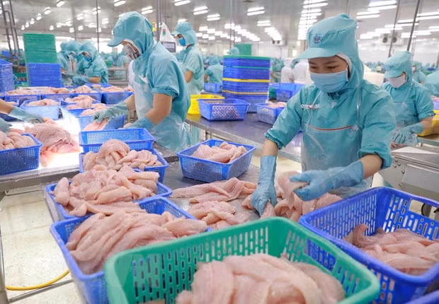 Recuperan exportaciones vietnamitas de pescado Tra ảnh 1